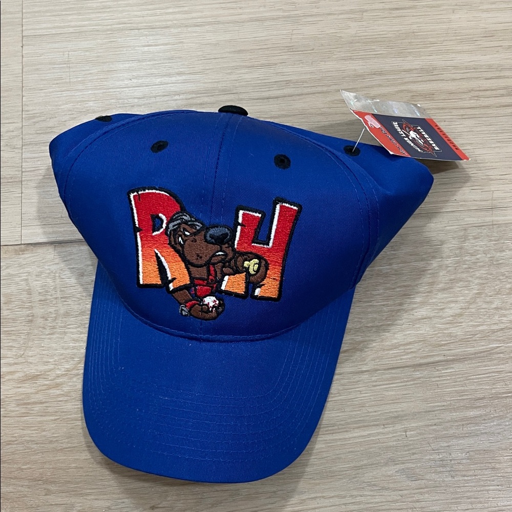 Men's Blue Cartoon Design Cap